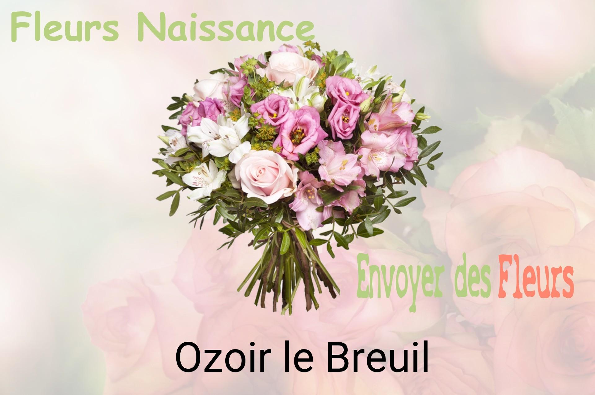 Bouquet de fleurs de naissance livré à Ozoir-le-Breuil