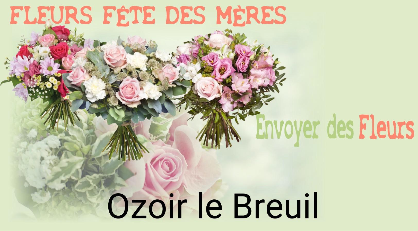 Bouquet de Fête des Mères livré à Ozoir-le-Breuil